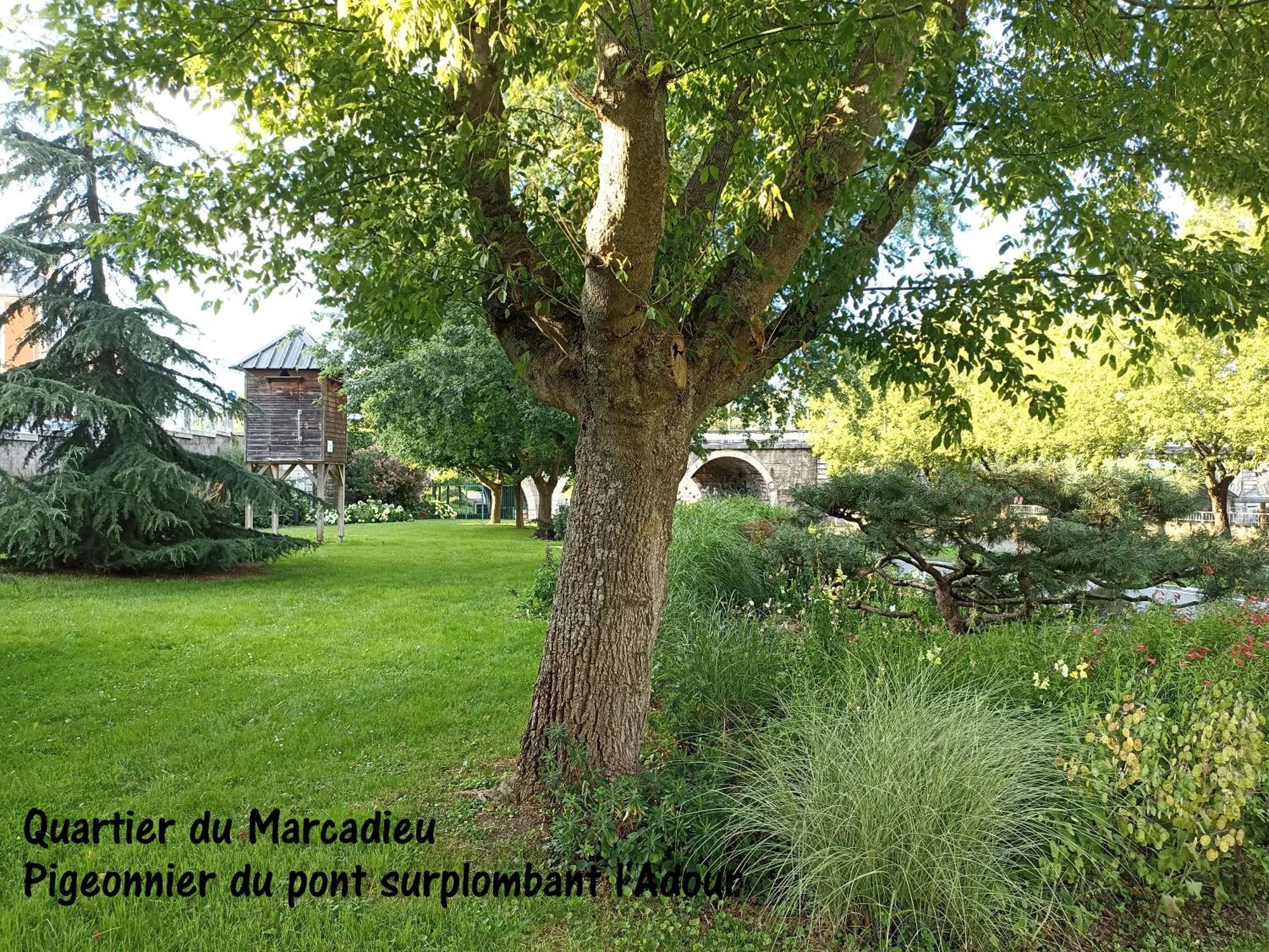 Studio Tarbes Marcadieu Exteriör bild